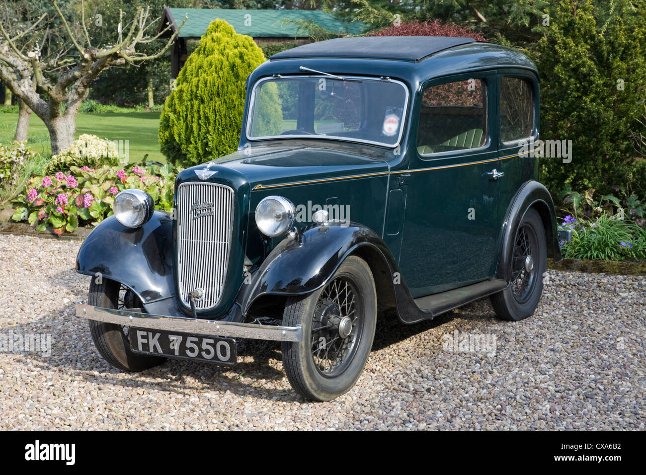 Austin 7 Ruby Foto Stock