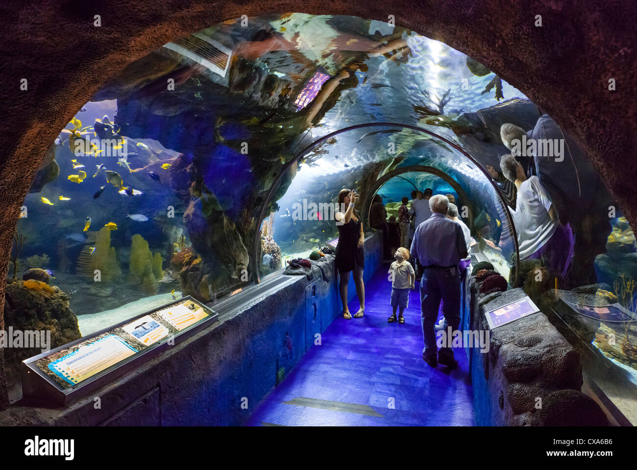 Sea Life Aquarium nel centro commerciale Mall of America, Bloomington, Minneapolis, Minnesota, Stati Uniti d'America Foto Stock