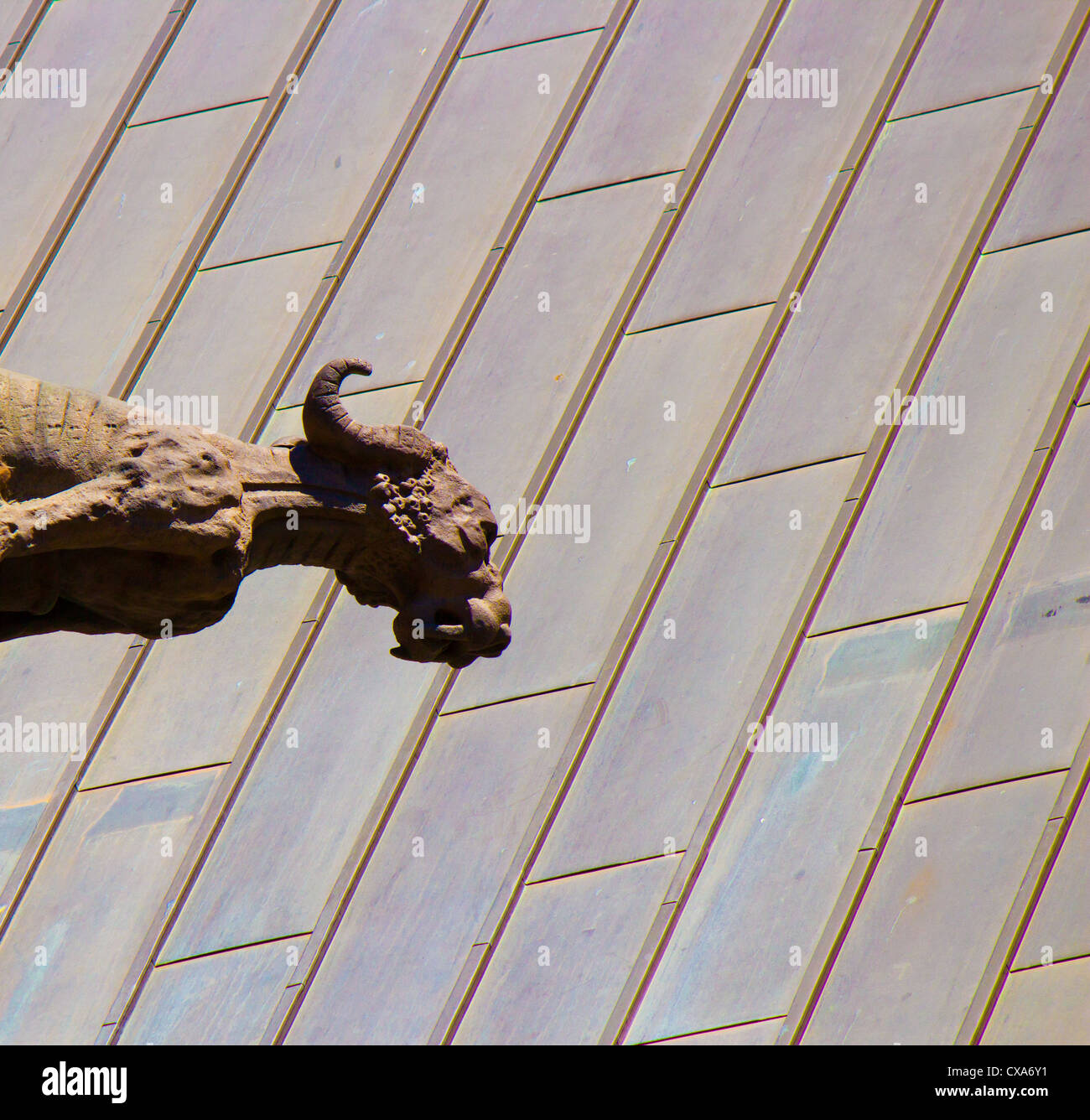 Un gargoyle sorge guarda. Foto Stock