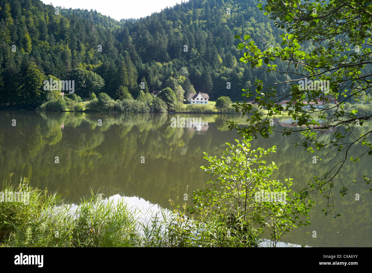 Il lago di Retournemer, Vosges, regione Lorraine Francia Foto Stock