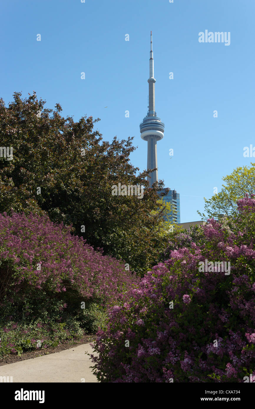 La CN Tower vista dal Porto Giardino di musica. Foto Stock