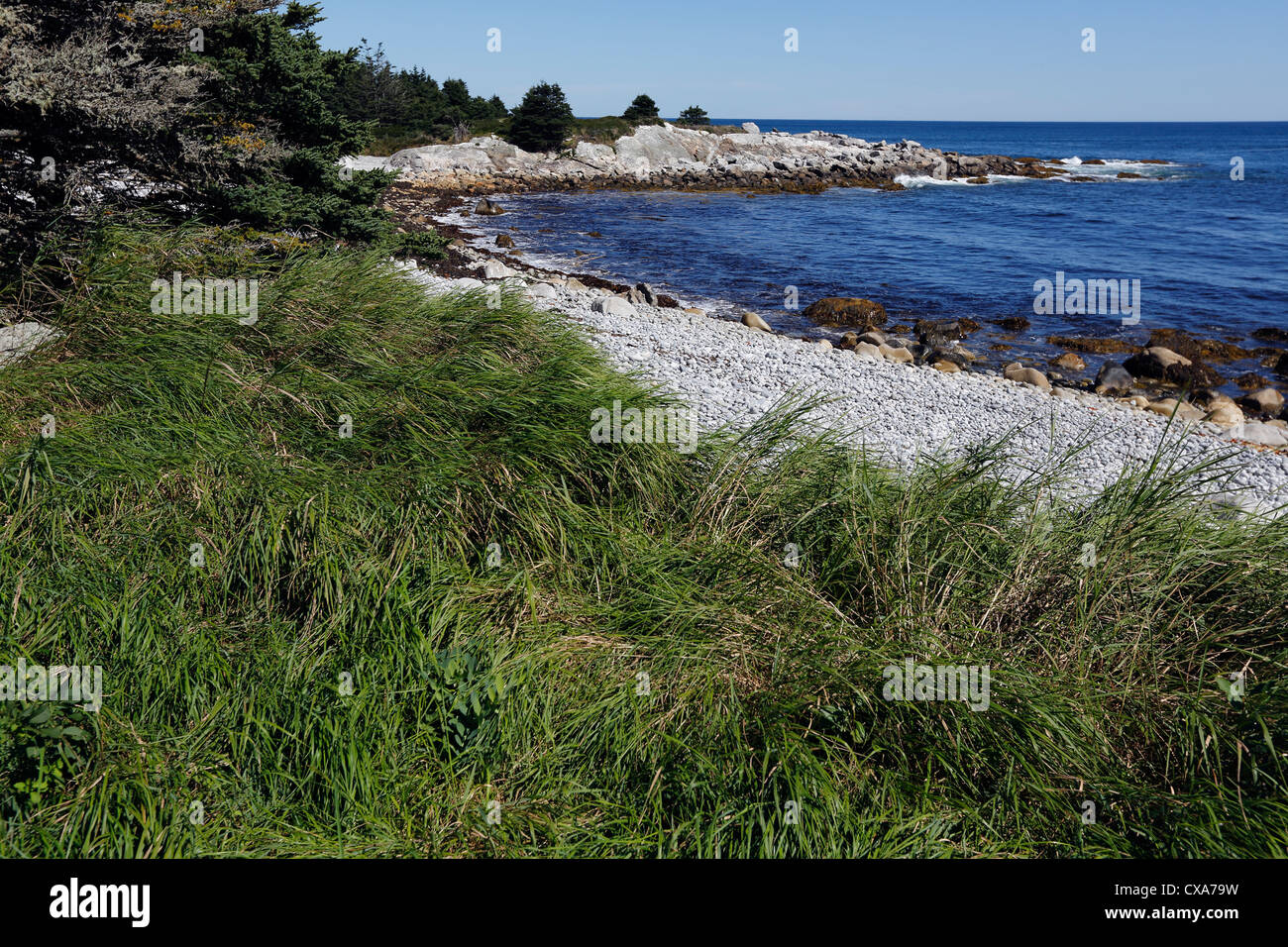 Kemjimkujik Seaside Park, Nova Scotia, Canada Foto Stock