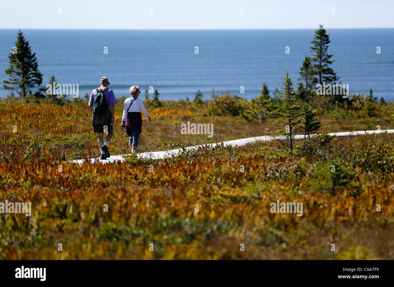 Un paio di camminare su una prova in Kemjimkujik Seaside Park, Nova Scotia, Canada Foto Stock