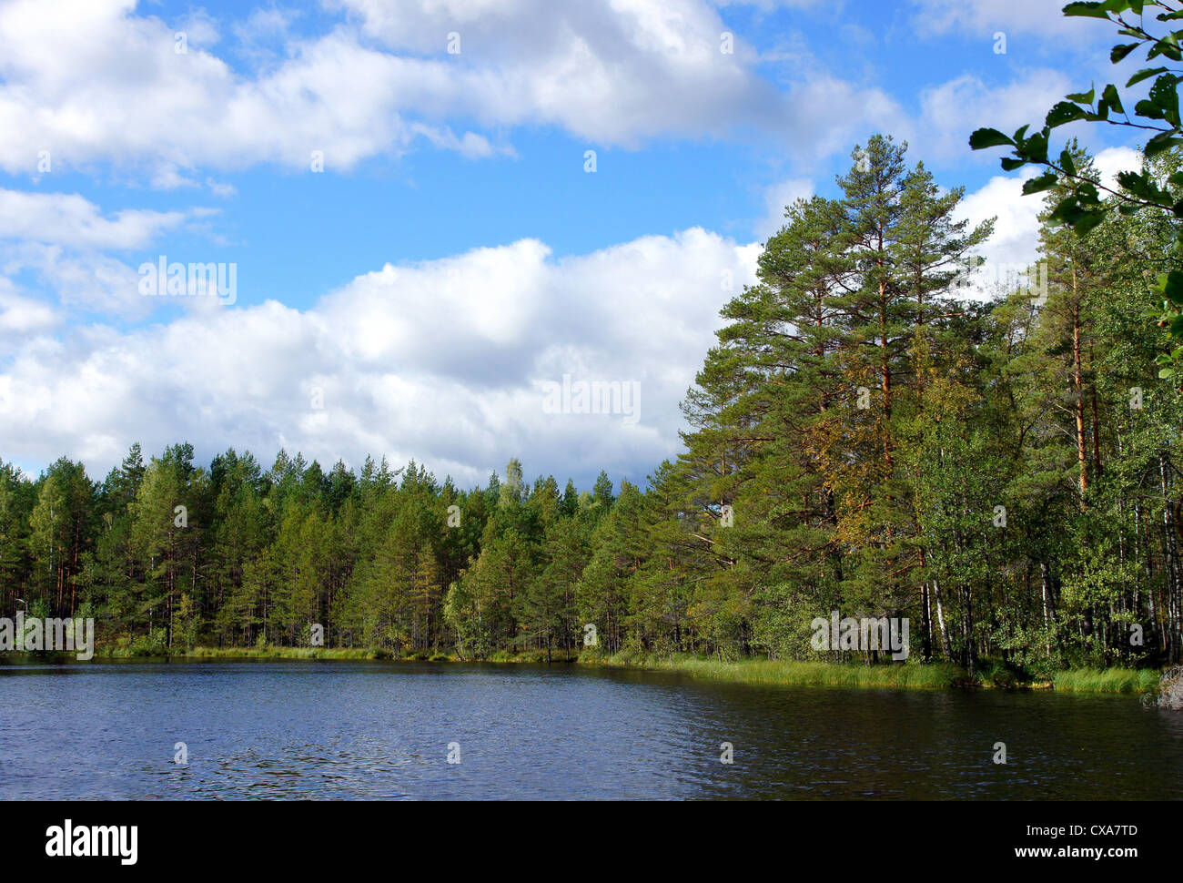 Lago e alberi su uno sfondo di cielo blu Foto Stock