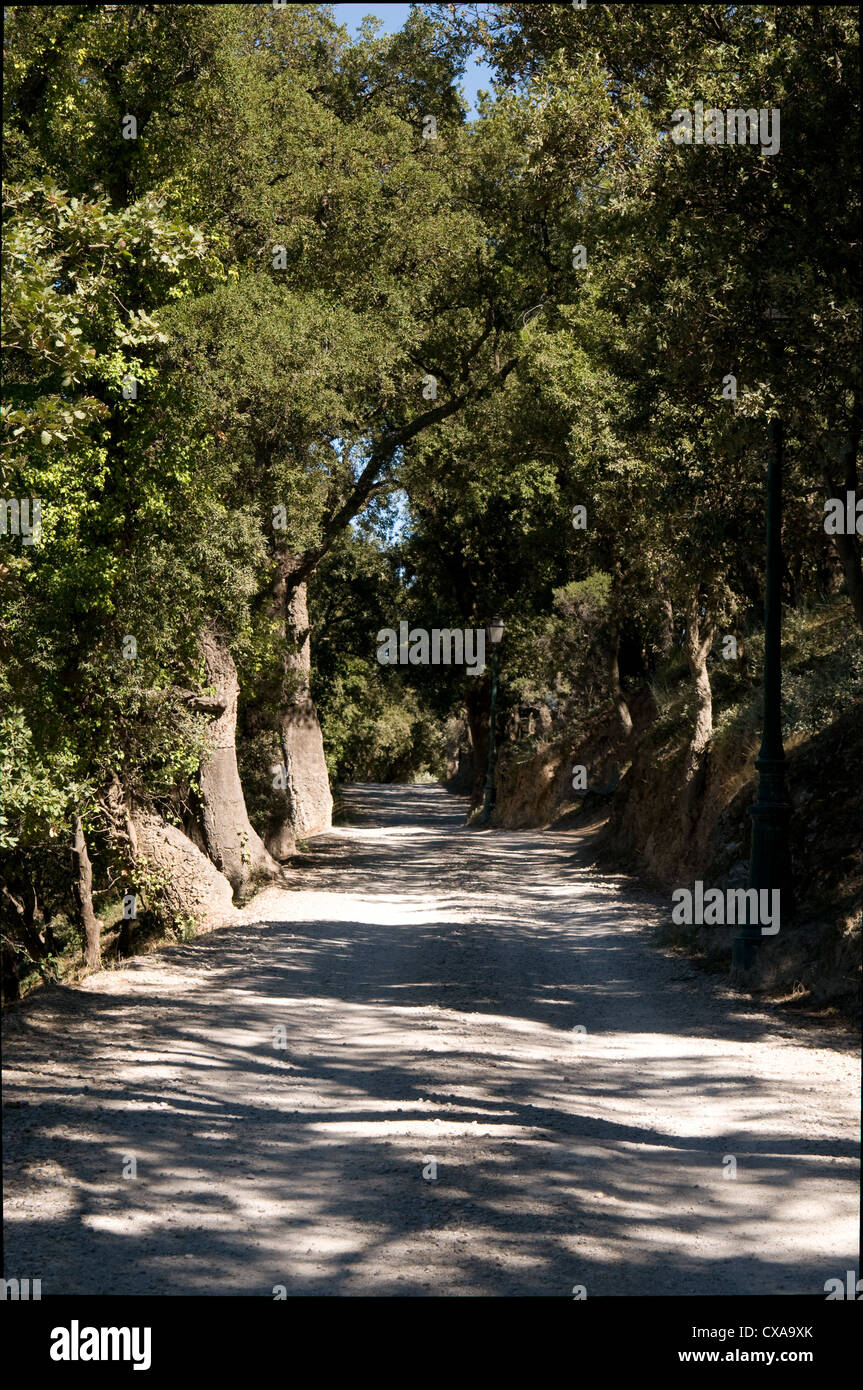 Un viale alberato percorso costeggia il château in Grimaud, Francia. Il sentiero conduce collega il villaggio all'auto e parcheggio autobus Foto Stock
