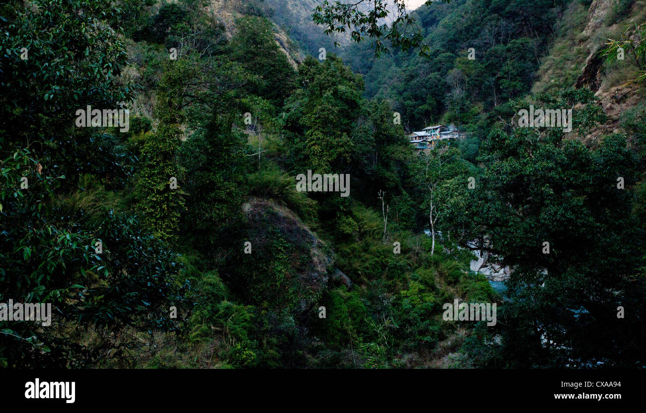 Vista di Pahiro, Langtang Valley, Nepal Foto Stock