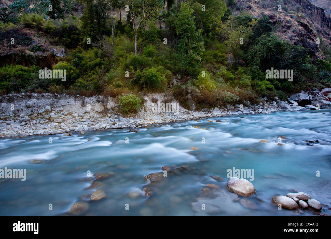 Bellissimo fiume di montagna che scorre attraverso la valle di Langtang, Nepal Foto Stock