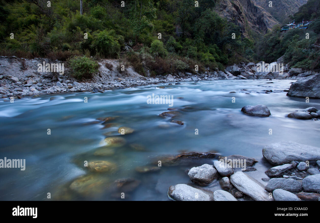 Bellissimo fiume di montagna che scorre attraverso la valle di Langtang, Nepal Foto Stock