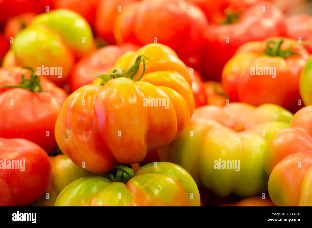 Pomodori impilati al mercato La Boqueria a Barcellona, in Catalogna, Spagna Foto Stock