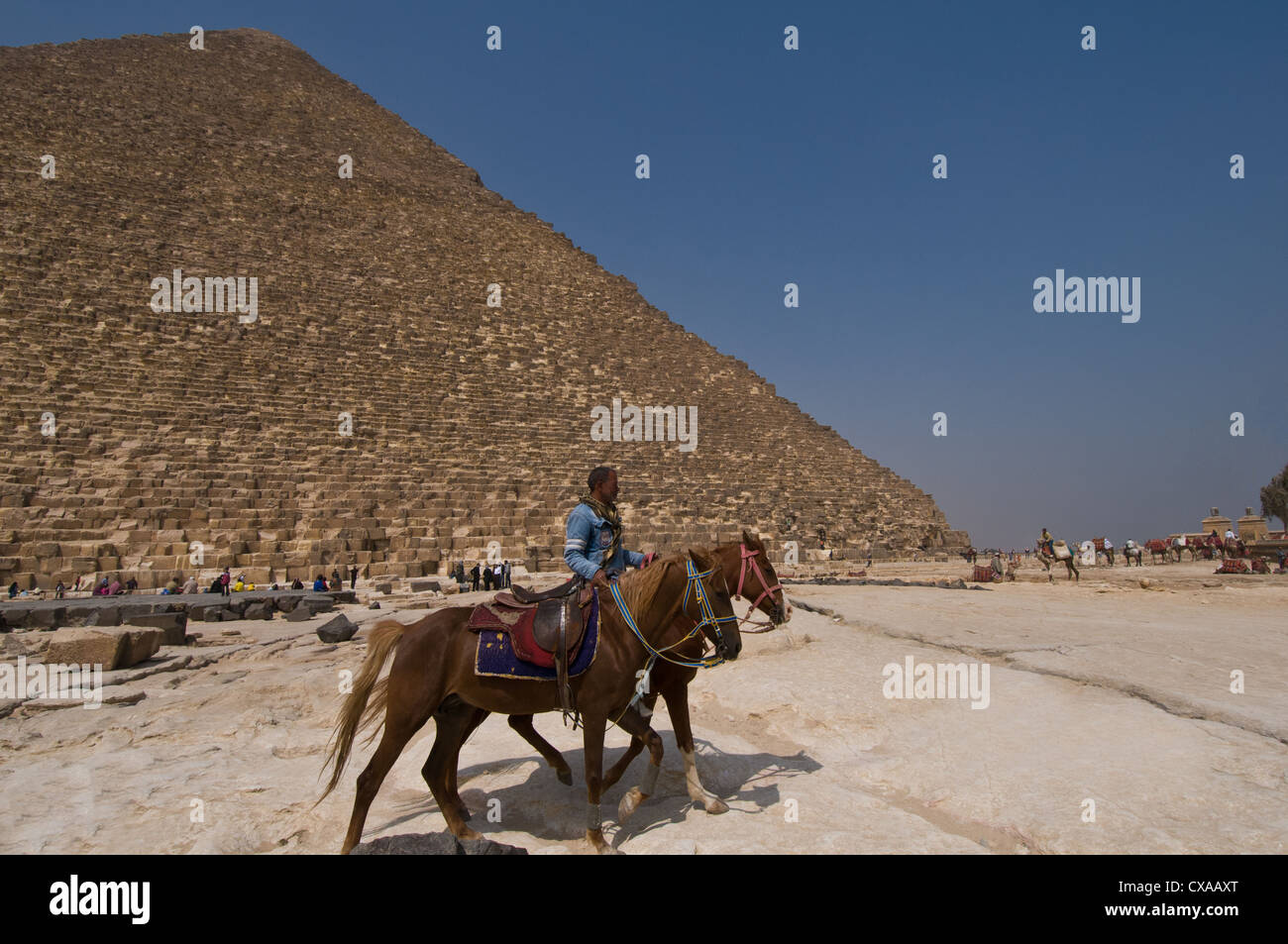 Guida noleggio di cavalli per i turisti di fronte le piramidi di Giza Cairo Egitto Foto Stock