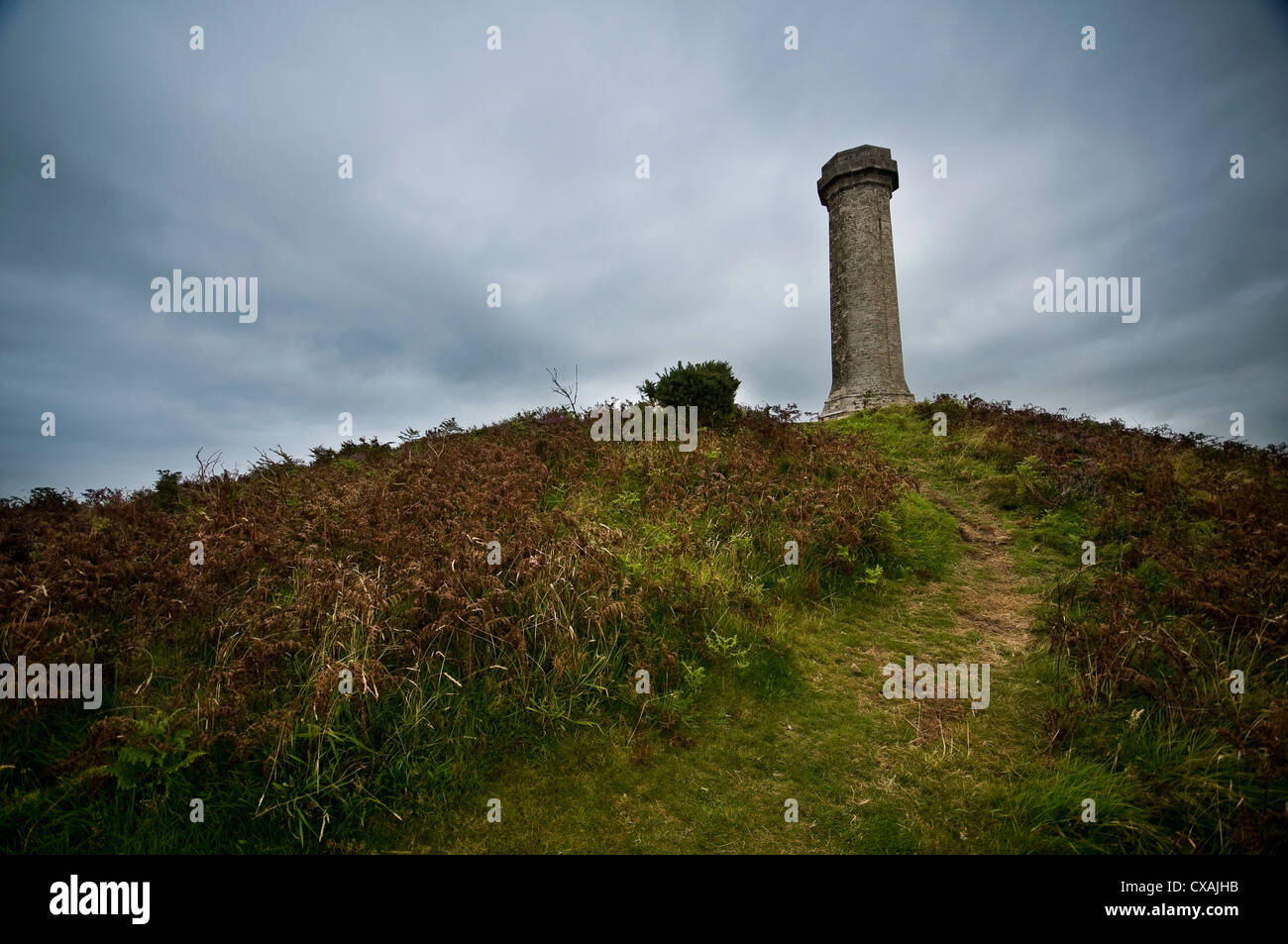 La Hardy Monument vicino a Dorchester Dorset, Regno Unito Foto Stock