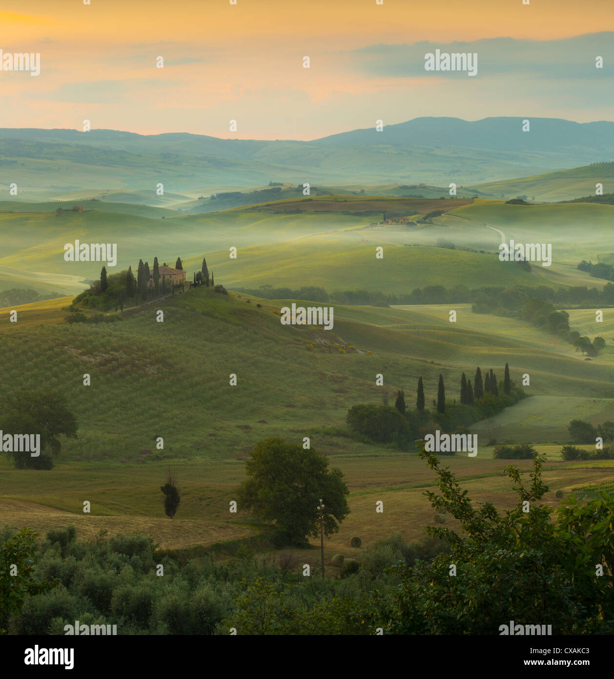 Sunrise in una nebbiosa della valle di San Quirico d'Orcia in colline Toscane con vista su Villa Belvedere Foto Stock