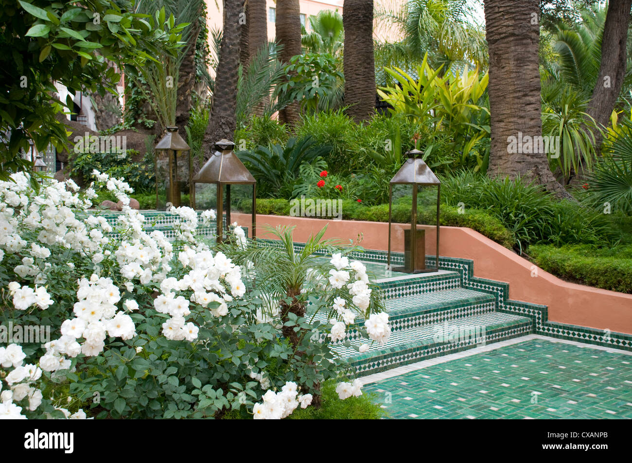 Rose bianche e le palme nel giardino a La Mamounia Hotel a Marrakech, Marocco, Africa Settentrionale, Africa Foto Stock