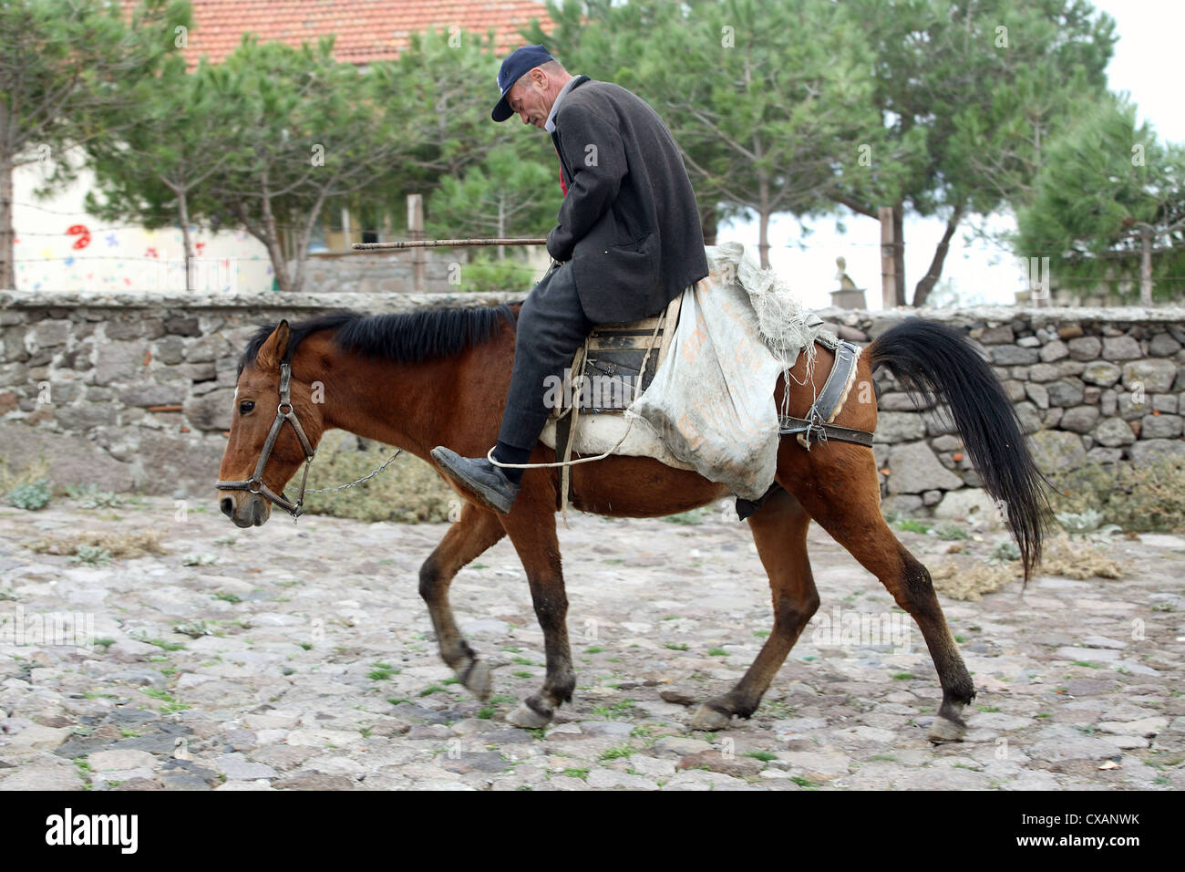 Canakkale, vecchio uomo in sella a un cavallo Foto Stock