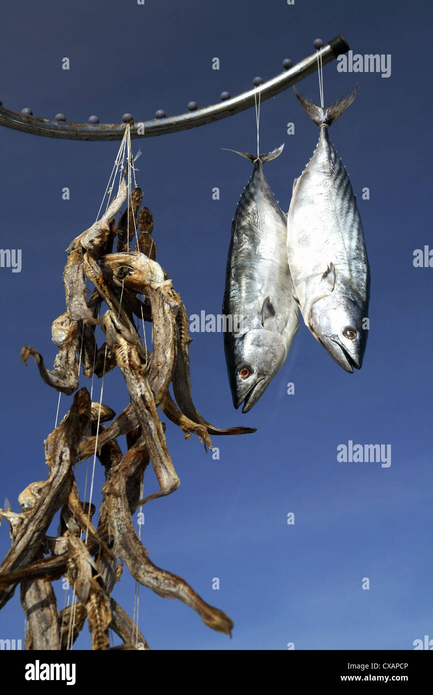 Nessebar, essiccazione aufgehaengte tonno Foto Stock