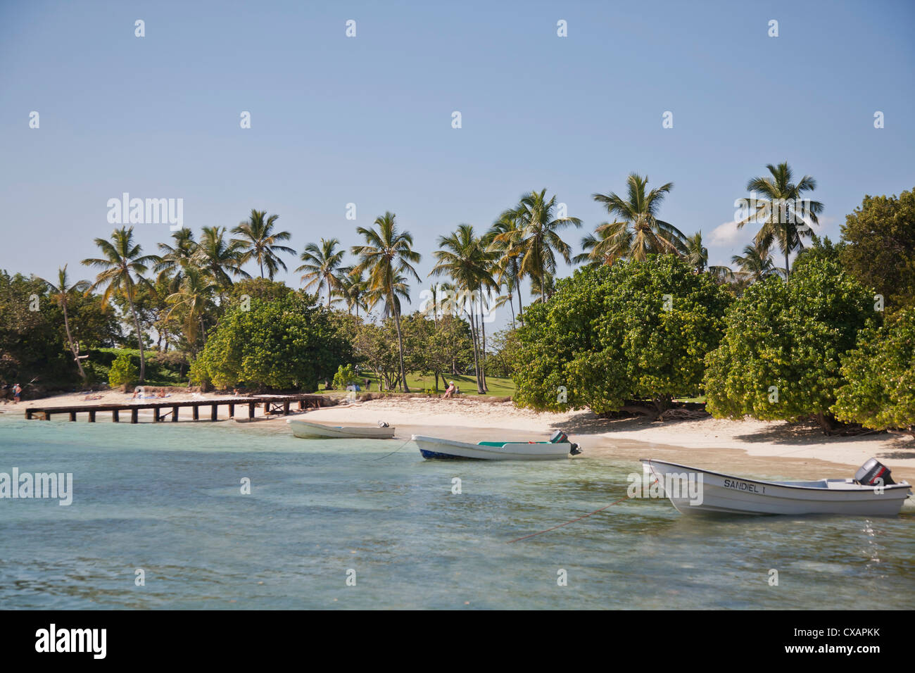 Spiaggia, Cayo Levantado, Samana Bay, Repubblica Dominicana, Antille Maggiori, West Indies, dei Caraibi e America centrale Foto Stock