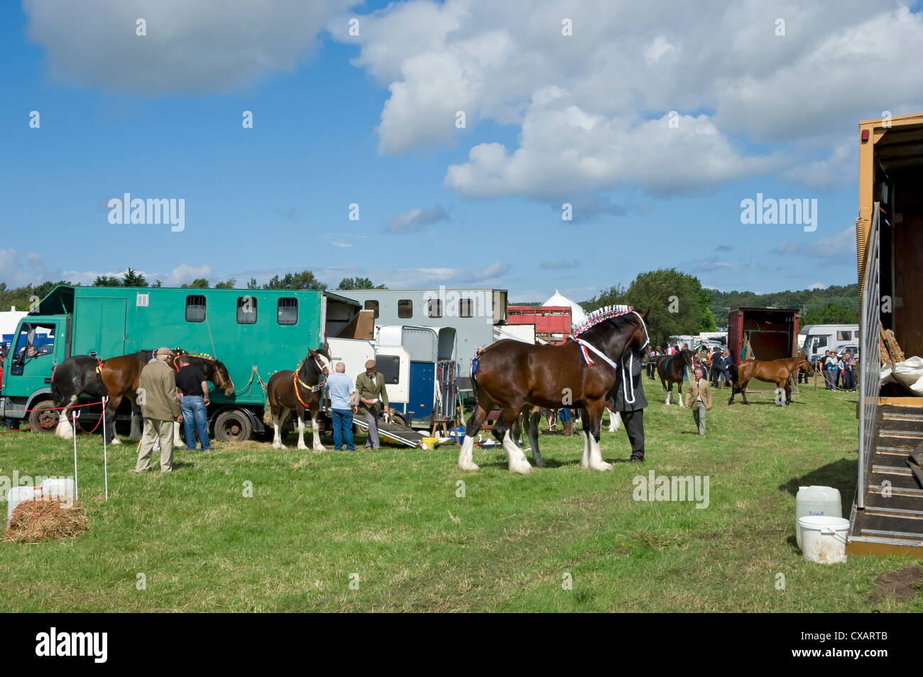 Preparare i cavalli di shire al Egton Show in estate North York Moors National Park North Yorkshire Inghilterra Regno Unito GB Gran Bretagna Foto Stock