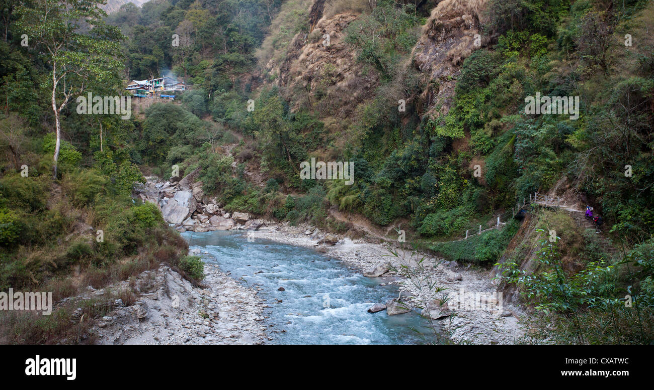 Trekking a piedi Pahiro accanto al fiume Langtang, Langtang Valley, Nepal Foto Stock