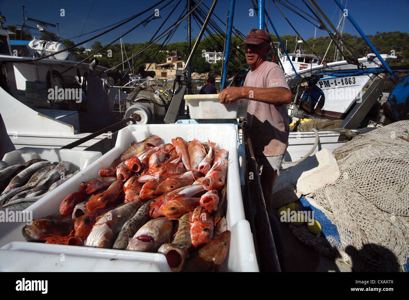 Cala Figuera, pesca con la sua cattura in porto Foto Stock