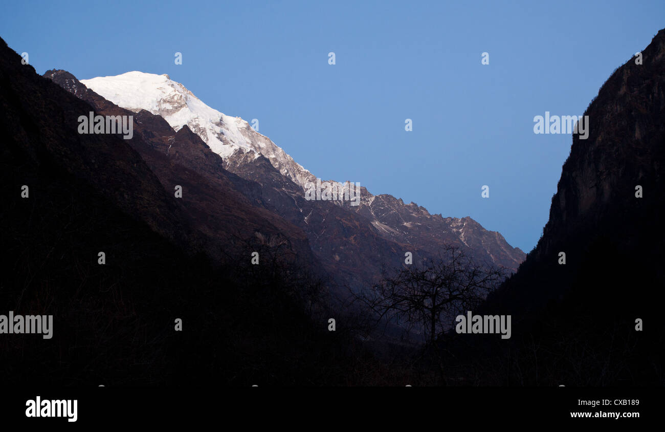 Montagne dalle vette innevate lungo la valle di Langtang, Nepal Foto Stock