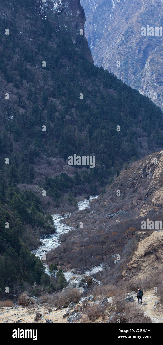L'uomo trekking vicino a un fiume di montagna che scorre attraverso la valle di Langtang, Nepal Foto Stock