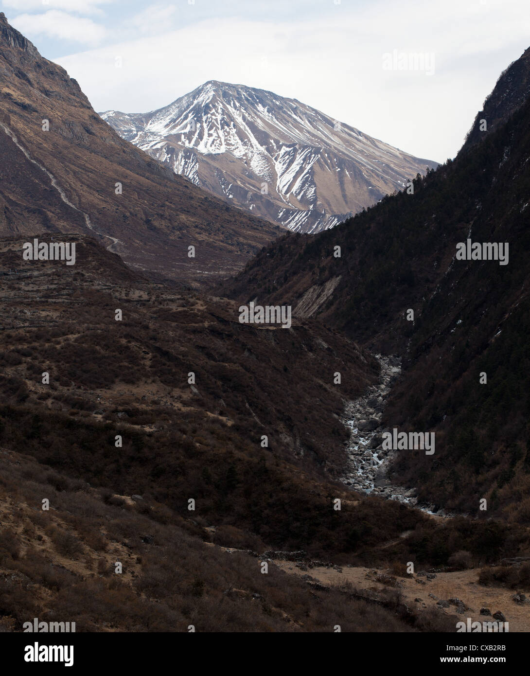 Rocky fiume di montagna che scorre attraverso la valle di Langtang, Nepal Foto Stock