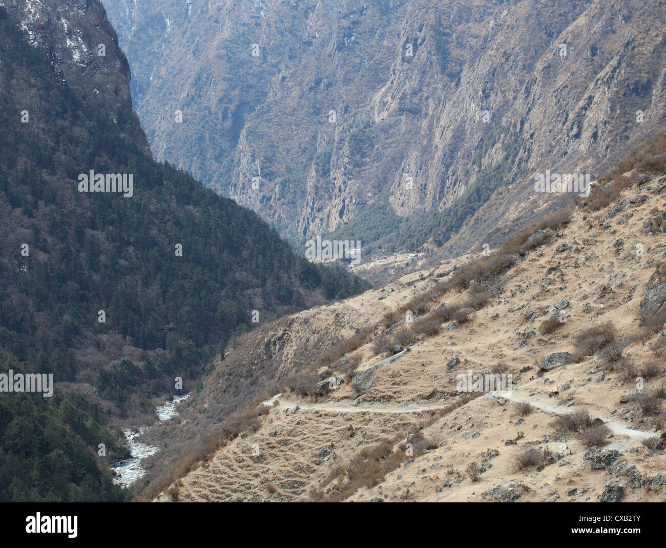 Percorso di trekking e fiume di montagna nella valle di Langtang, Nepal Foto Stock