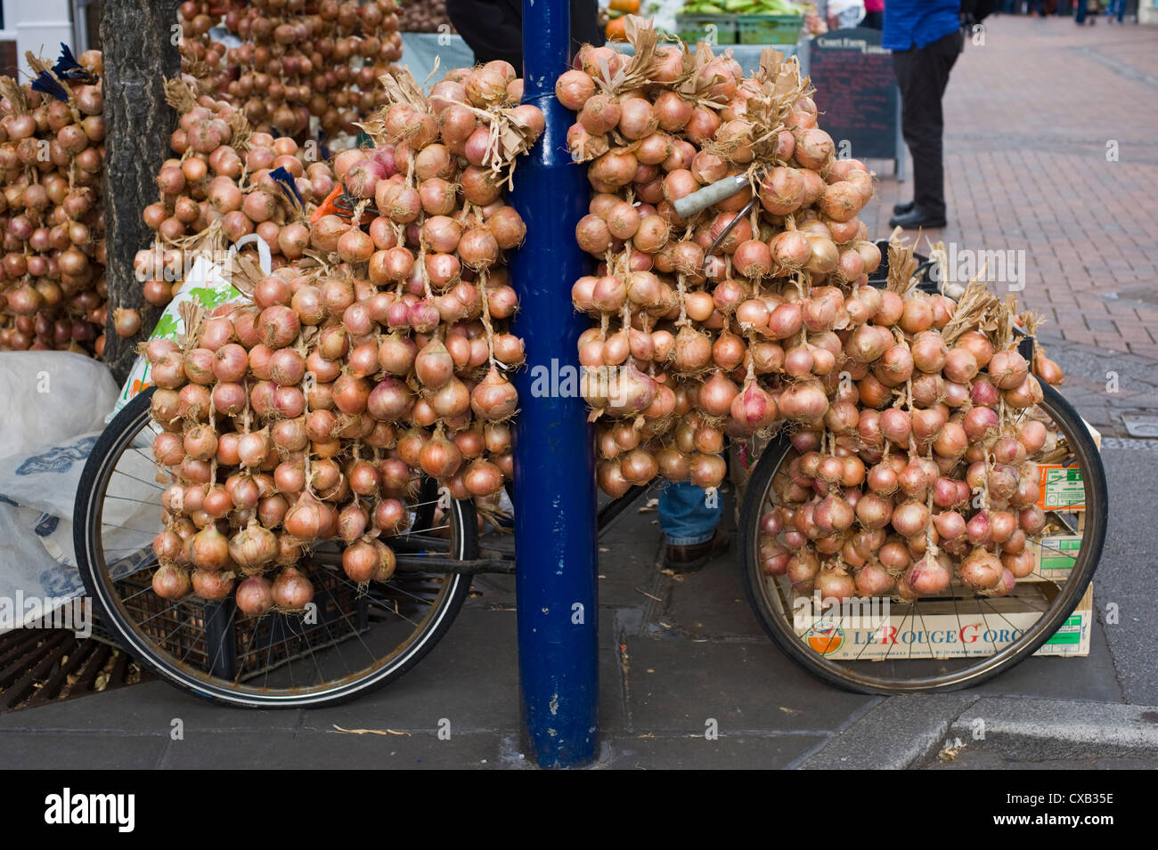 Cipolla francese venditore sulla strada a Abergavenny Food Festival Foto Stock
