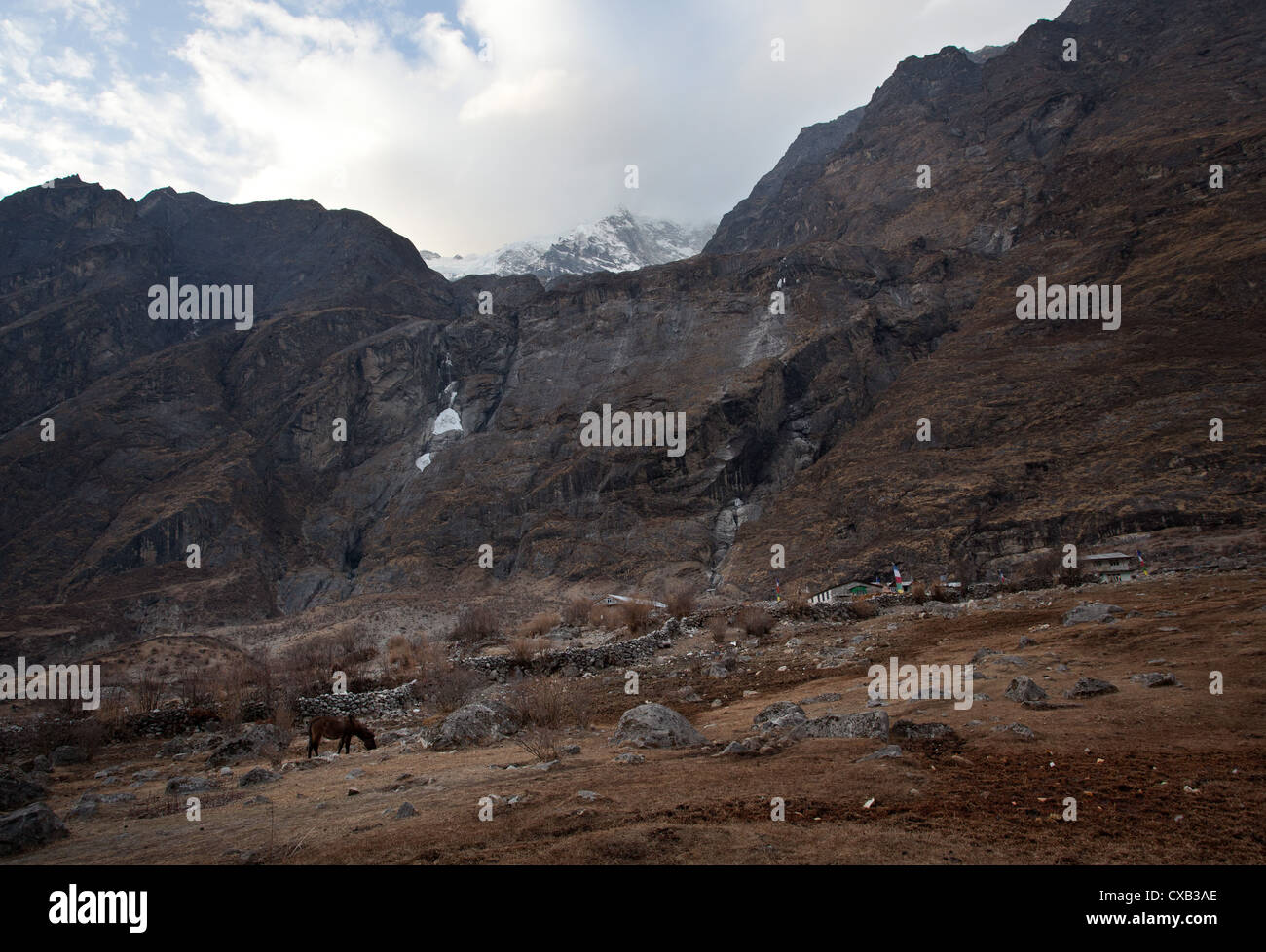 Langtang borgo accoccolato accanto a una montagna, Langtang Valley, Nepal Foto Stock
