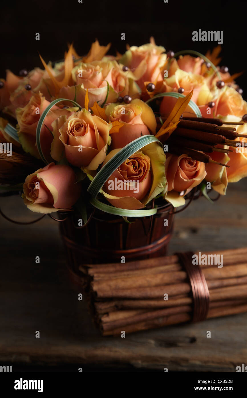 Peach Rose cadono Floreale Foto Stock