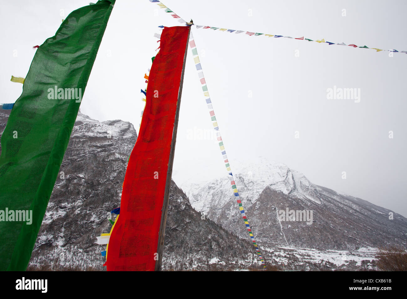 Colorato la preghiera buddista bandiere al vento con una montagna di distanza, Langtang Valley, Nepal Foto Stock