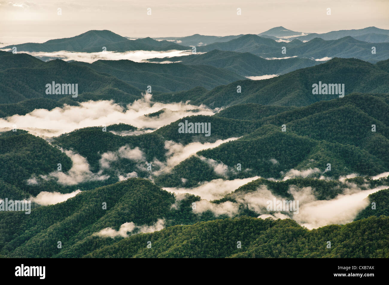 Vista sull'Area del Patrimonio Mondiale della Nuova Inghilterra altipiano. Foto Stock