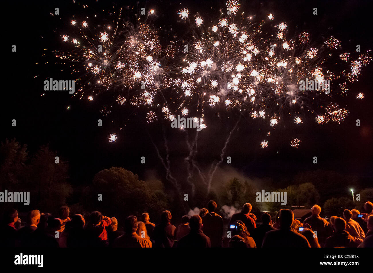 Fuochi d'artificio nel villaggio di Belabre, Indre, Francia per celebrare il Giorno della Bastiglia. Foto Stock