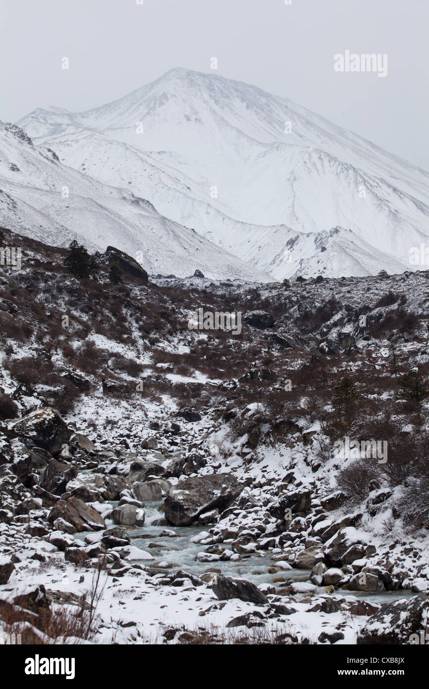 Bellissimo fiume di montagna che scorre attraverso la valle di Langtang, con Kyanjin Ri in background, Nepal Foto Stock