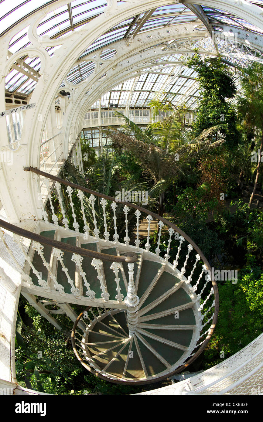 La scala a chiocciola in casa temperate, Royal Botanic Gardens, Kew, Sito Patrimonio Mondiale dell'UNESCO, London, England, Regno Unito Foto Stock