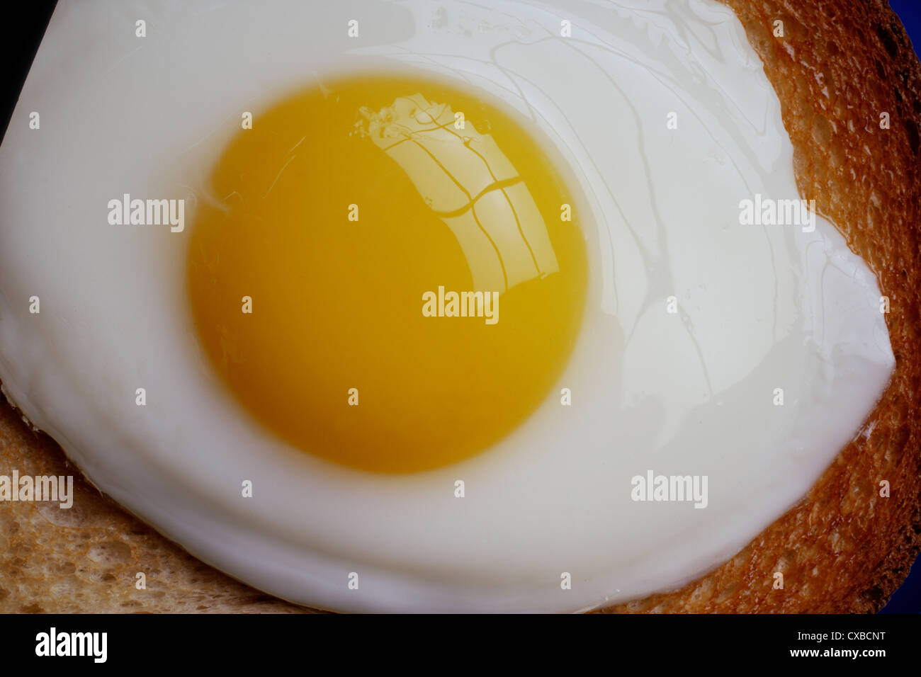 Close Up di uovo fritto, Sunny Side up, sul pane tostato Foto Stock