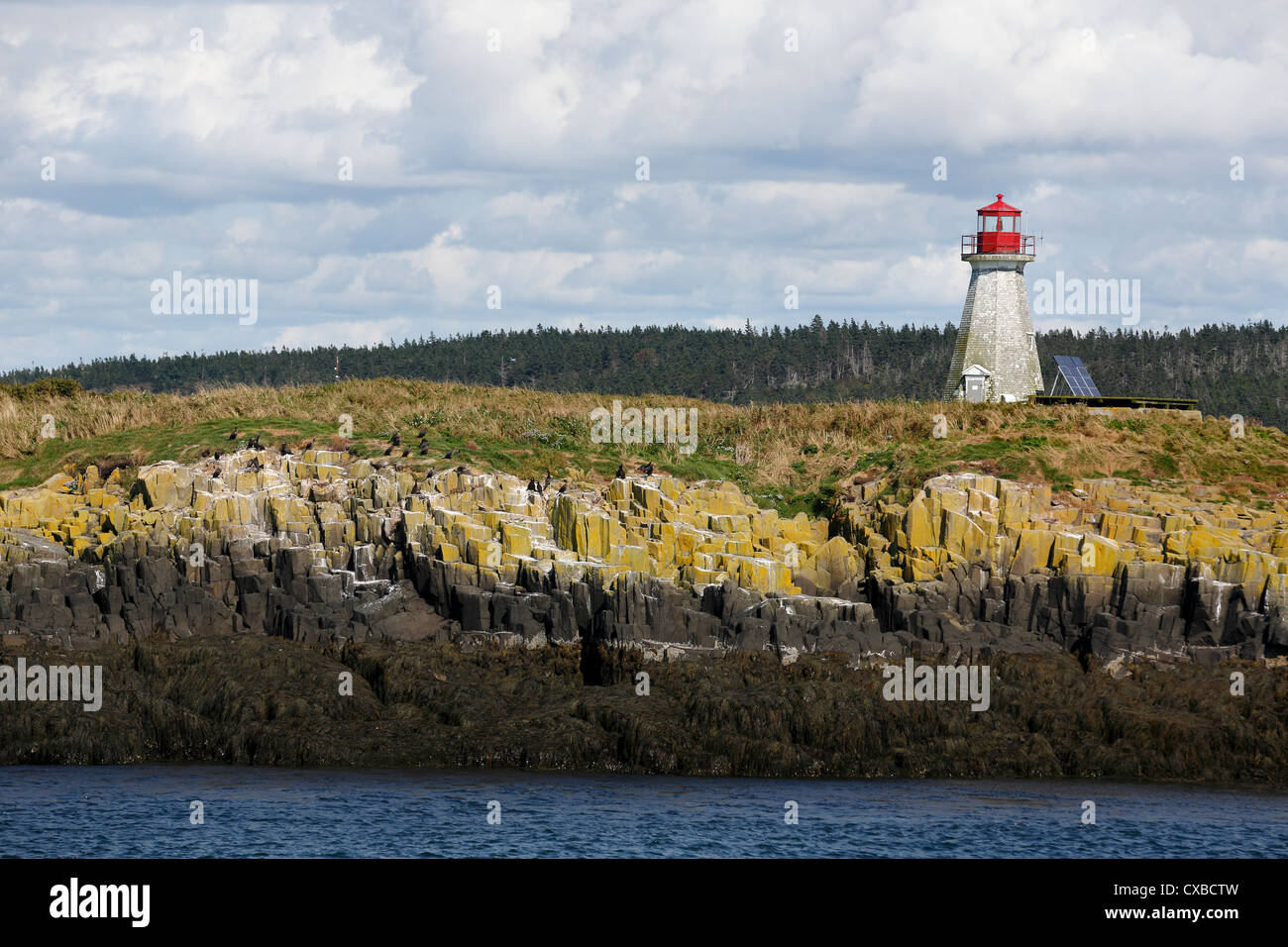 Faro di Pietro Isola, sulla Baia di Fundy, Nova Scotia Foto Stock