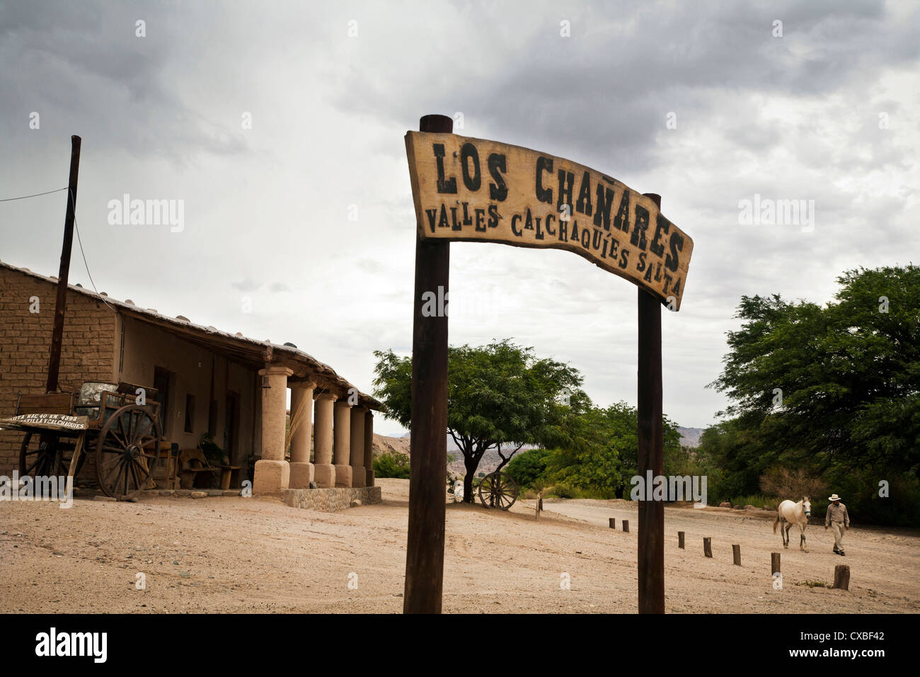 Scena di Valles Calchaquies sulla strada tra Cafayate e Cachi. Provincia di Salta, Argentina. Foto Stock