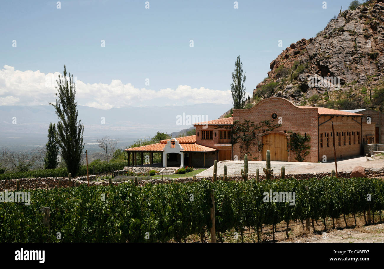 San Pedro de Yacochuya winery di Cafayate, Provincia di Salta, Argentina. Foto Stock