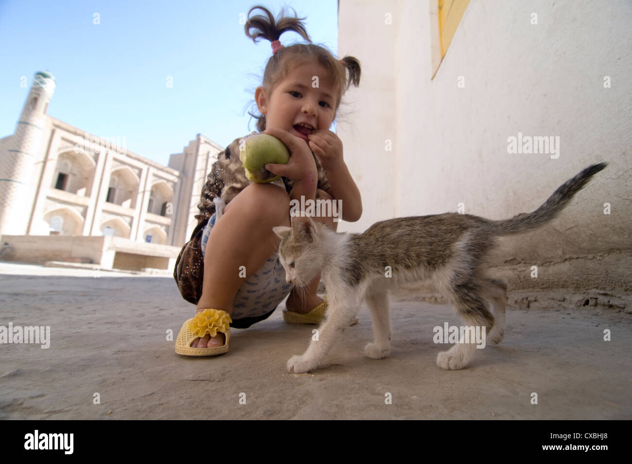 Una giovane ragazza che gioca con un gattino nella vecchia città di Khiva, Uzbekistan. Foto Stock