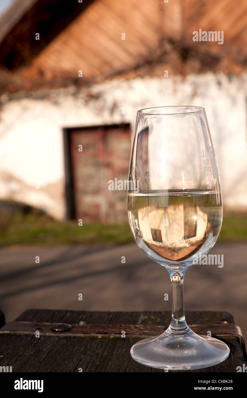 Bicchiere di vino bianco (Riesling) in cantina, villaggio di Vlkos, Brnensko, Repubblica Ceca, Europa Foto Stock