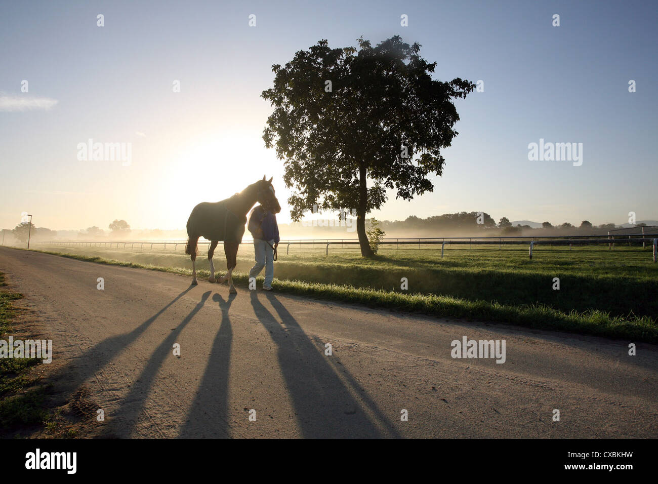 Iffezheim rider conduce il suo cavallo al mattino presto Foto Stock
