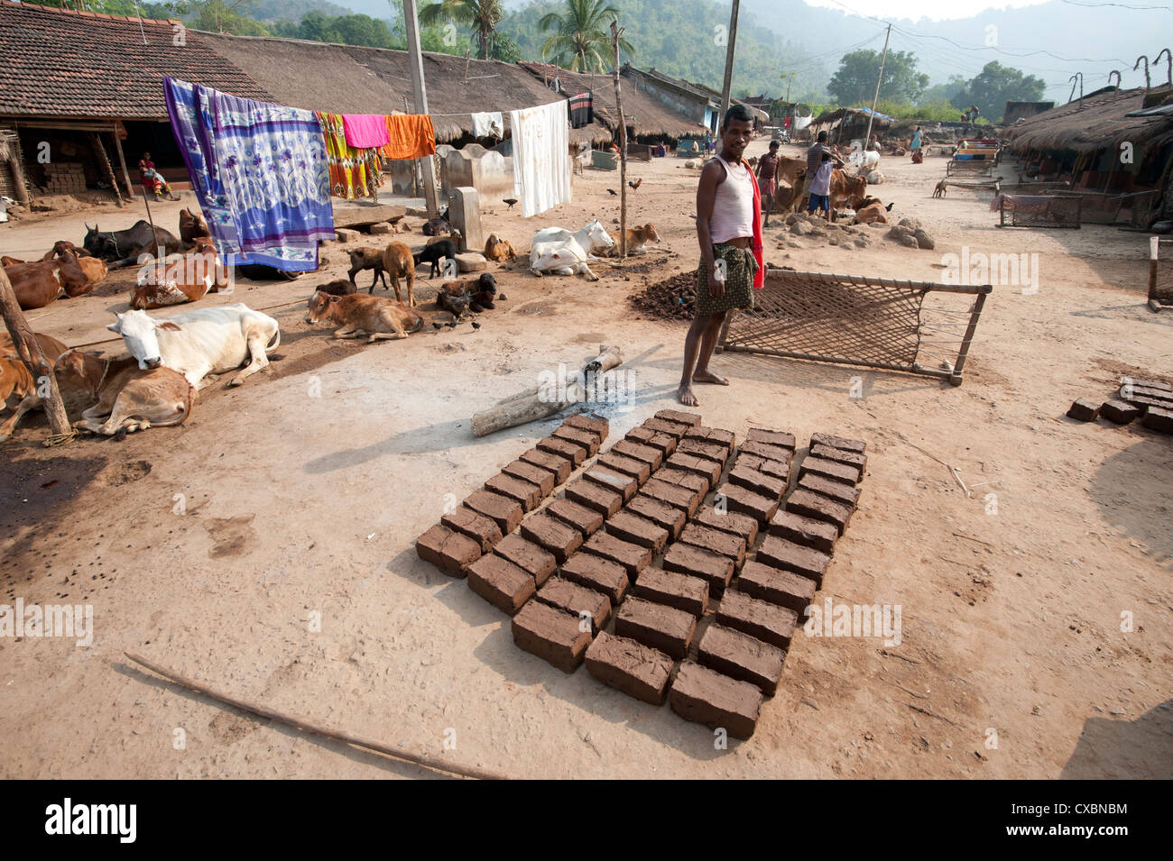 Giovane uomo in piedi nel tradizionale Desia Kondh village street, mattoni di fango ad asciugare al sole, Bissam Cuttack, Orissa, India Foto Stock