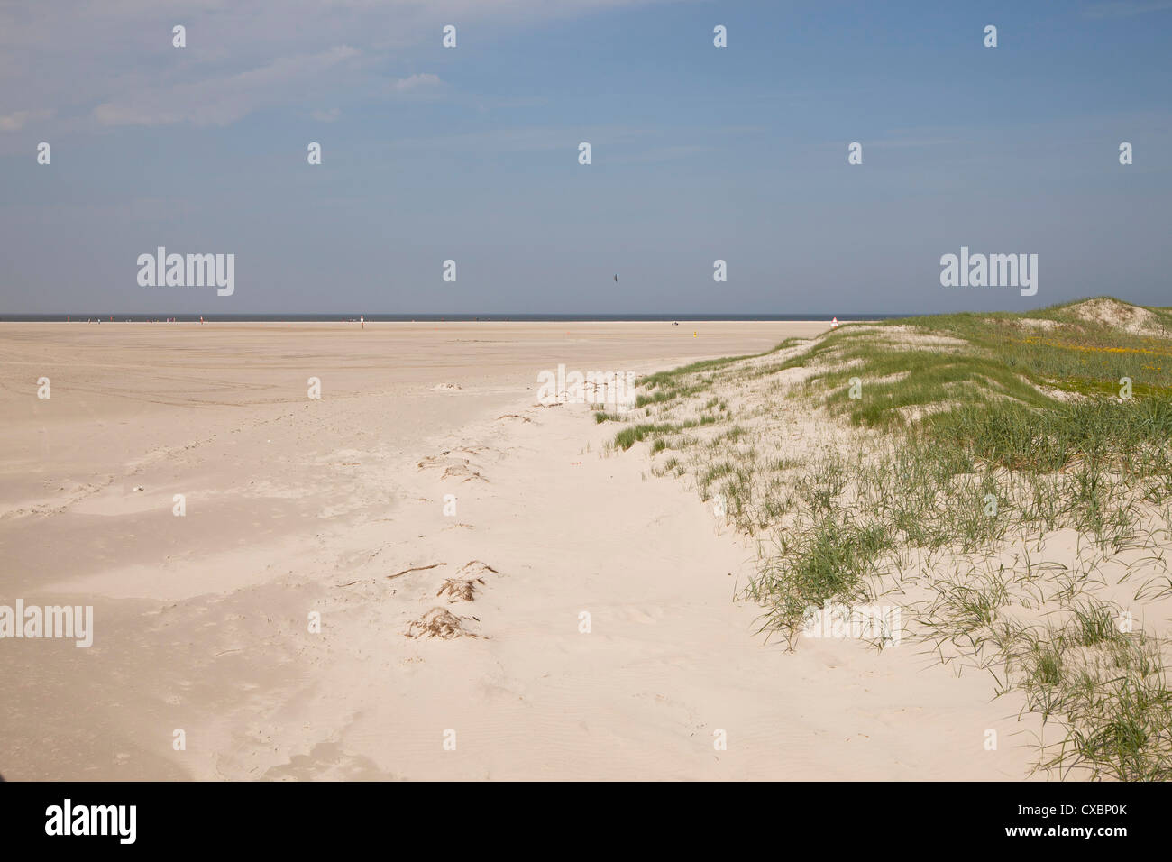 La lunga vasta spiaggia sabbiosa di San Peter-Ording, distretto di Nord Friesland, Schleswig-Holstein, Germania, Europa Foto Stock