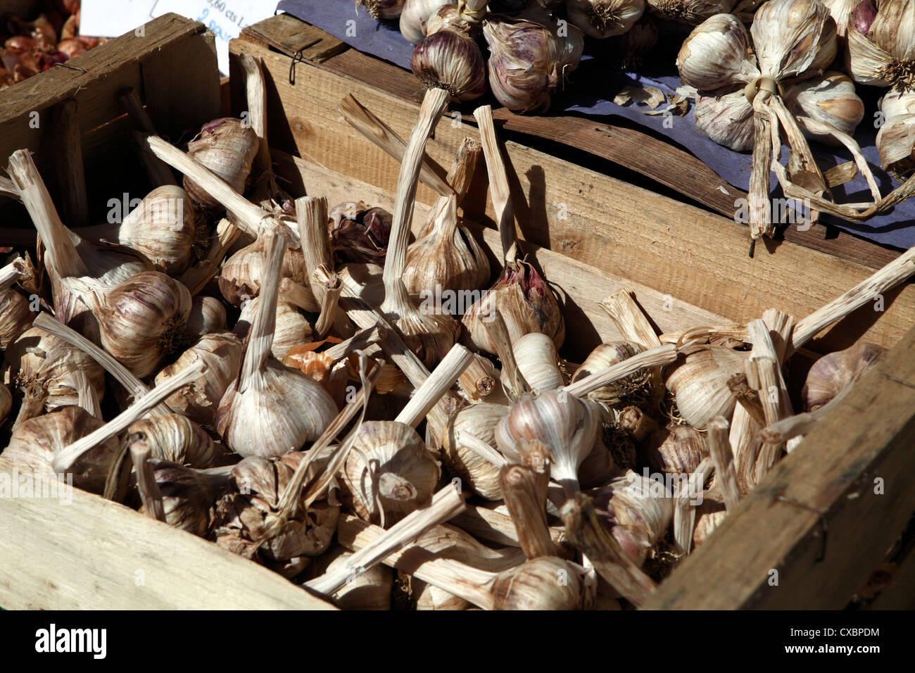 Bulbi di aglio in Francia Foto Stock