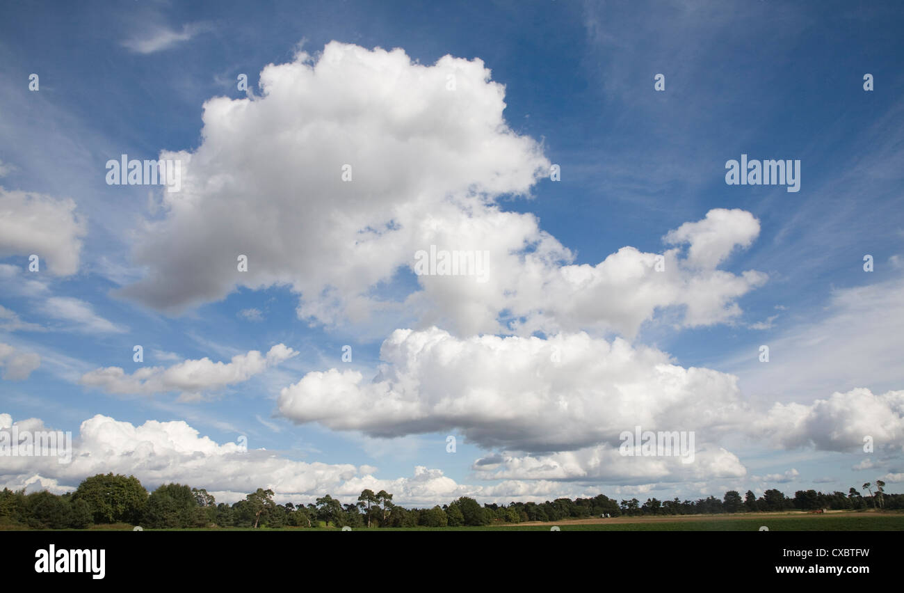 Grande bianco soffice cumulus nubi nel cielo sopra i campi Suffolk in Inghilterra Foto Stock