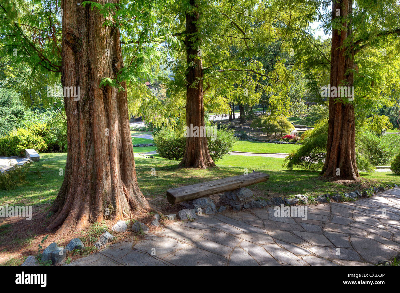 Stretto sentiero tra alberi nel Parco del Valentino (aka Parco del Valentino a Torino, Italia. Foto Stock