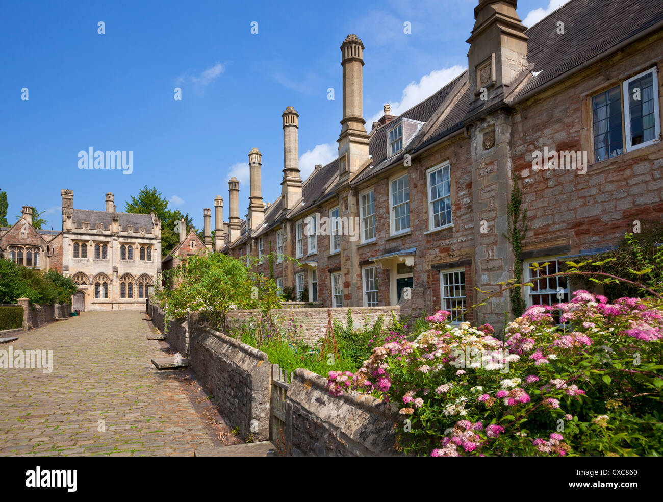 Vicario vicino, risalente al XIV secolo, il più antico sopravvissuto puramente strada residenziale in Europa, Wells Somerset, Inghilterra Foto Stock