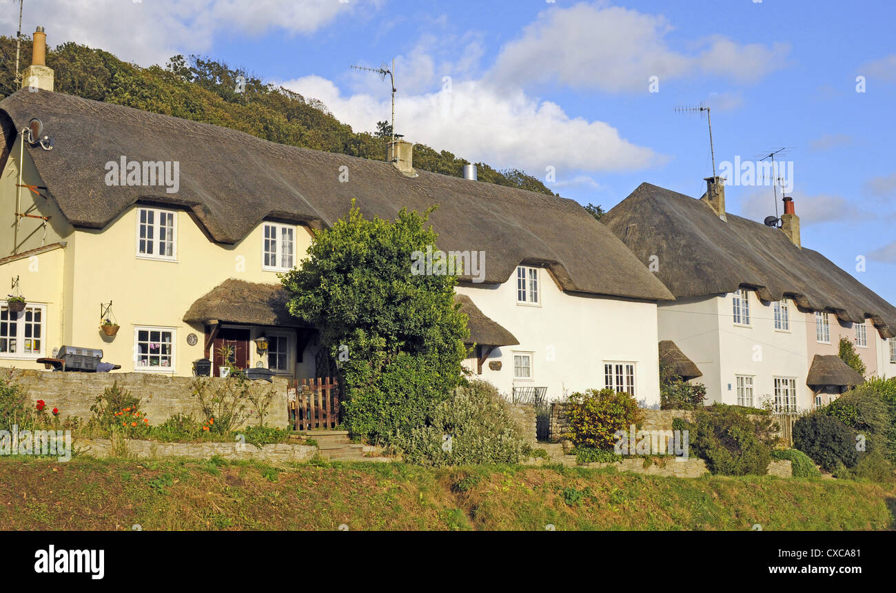 Cottage con il tetto di paglia nel villaggio di West Lulworth nelle vicinanze Lulworth Cove Dorset Inghilterra Foto Stock Cottage con il tetto di paglia nel villaggio di West Lulworth nelle vicinanze Lulworth Cove Dorset Inghilterra Foto Stock