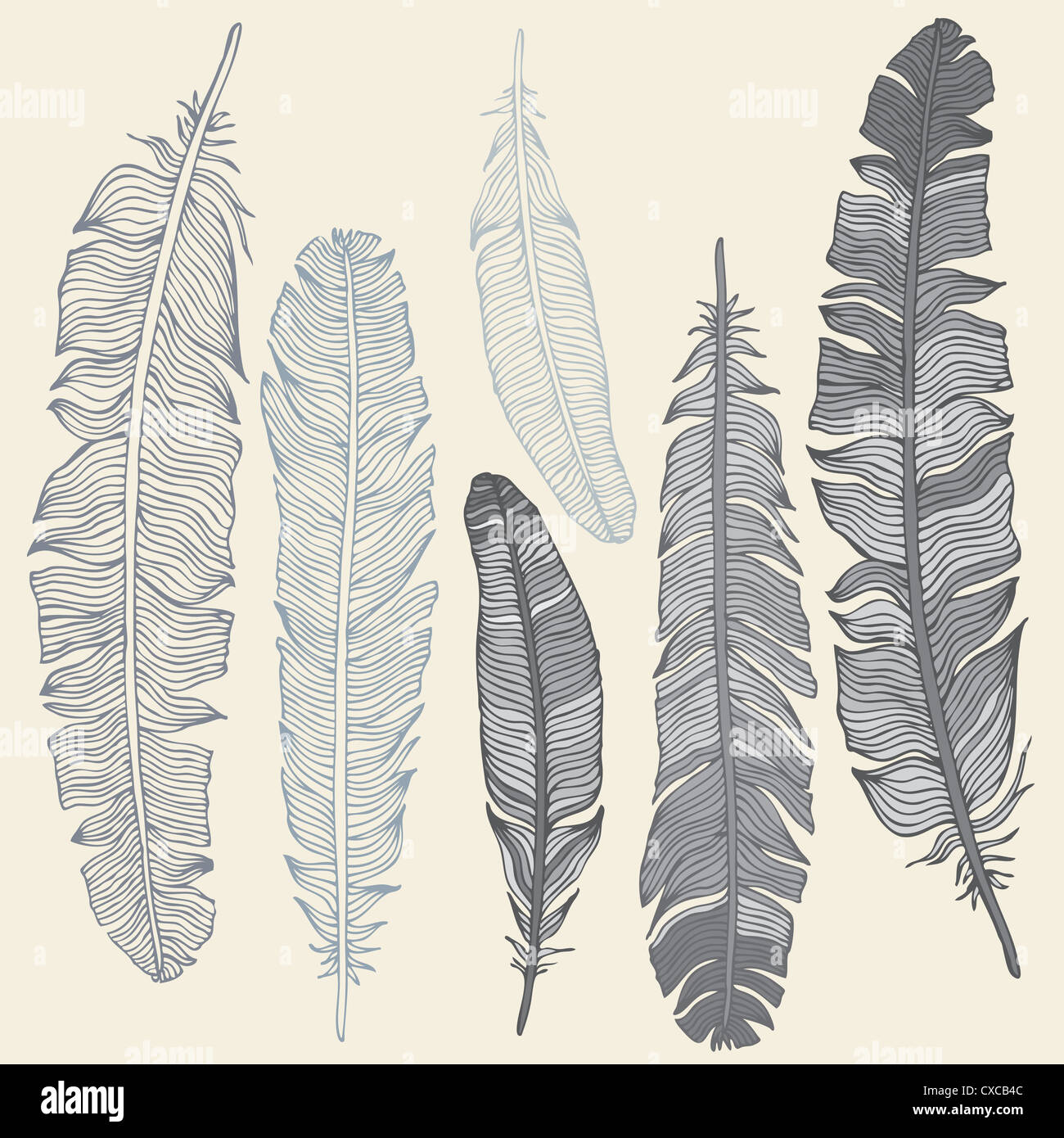 Vintage vettore di piuma set. Disegnata a mano illustrazione. Foto Stock